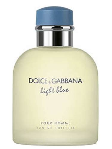 dolce and gabbana light blue macy's